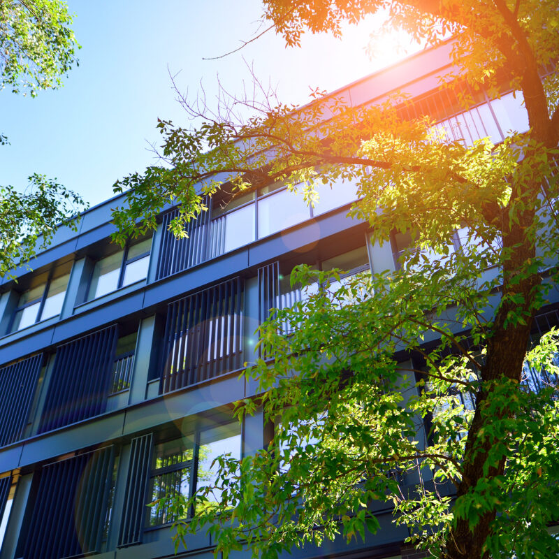 Immeuble de bureaux moderne entouré de végétation illustrant une démarche environnementale durable